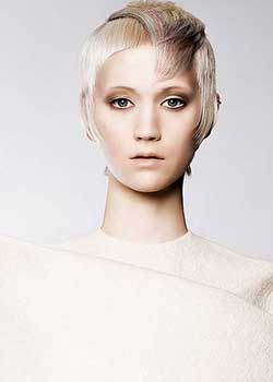 Immagine HAIRFASHION ALLILON ART TEAM A856-08.jpg